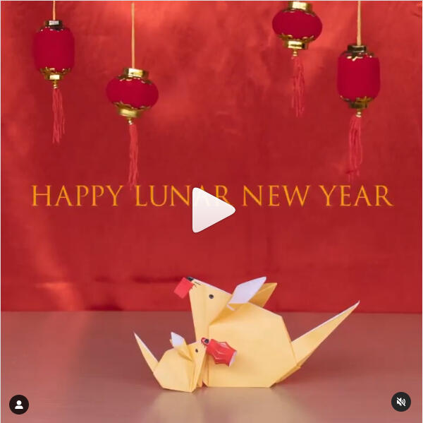 Lunar New Year 2020 Short Video